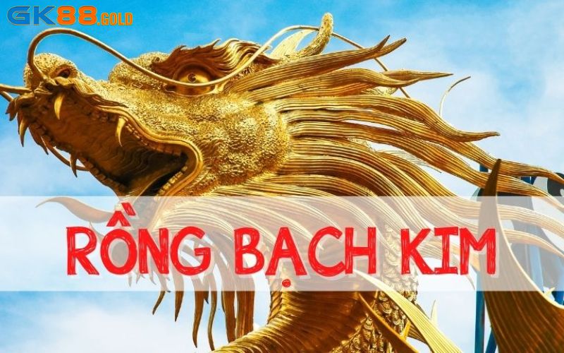 Chia sẻ chung về lô top rồng bạch kim